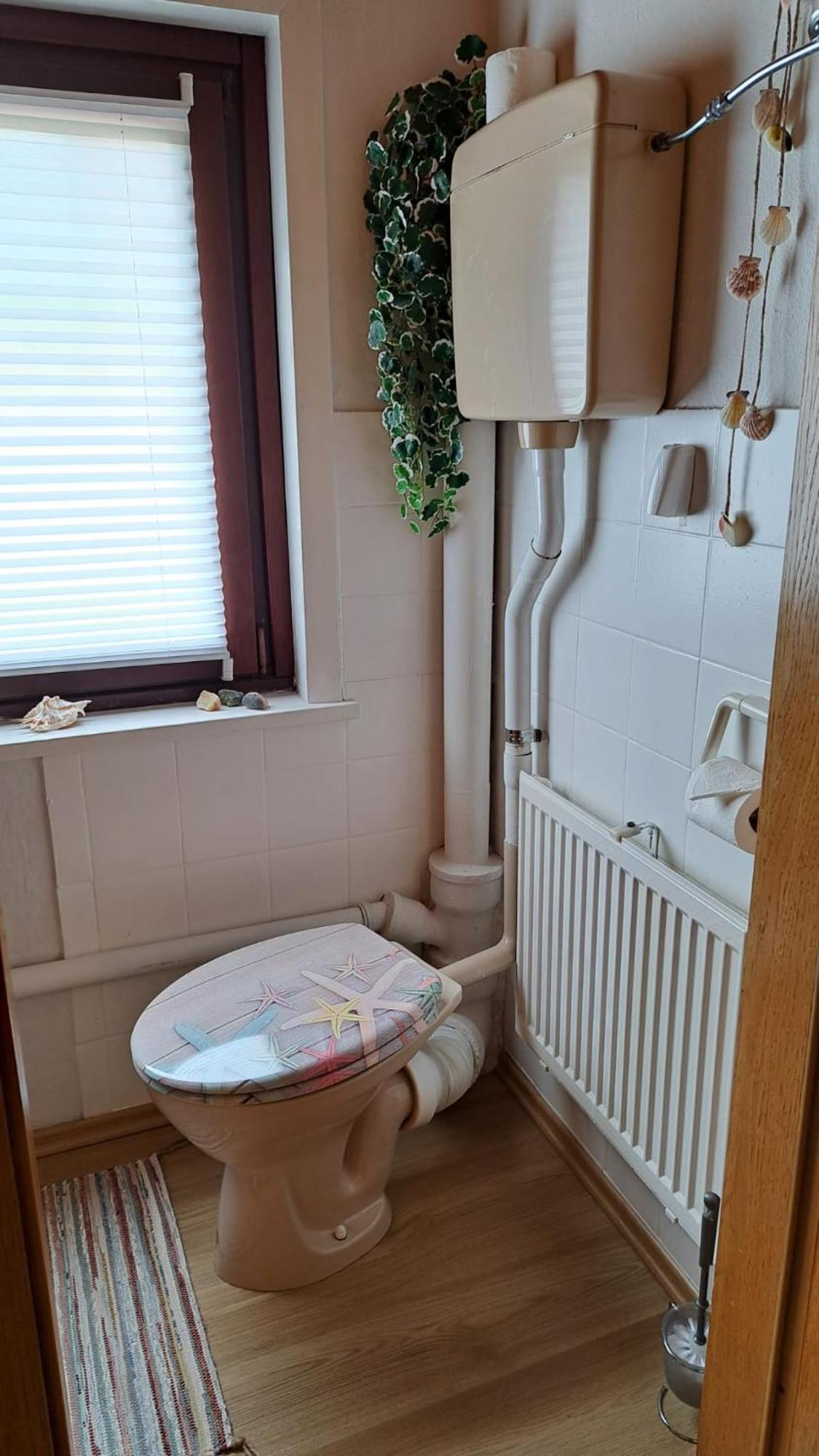 Ferienwohnung Friedrichsruh Braunlage Ngoại thất bức ảnh