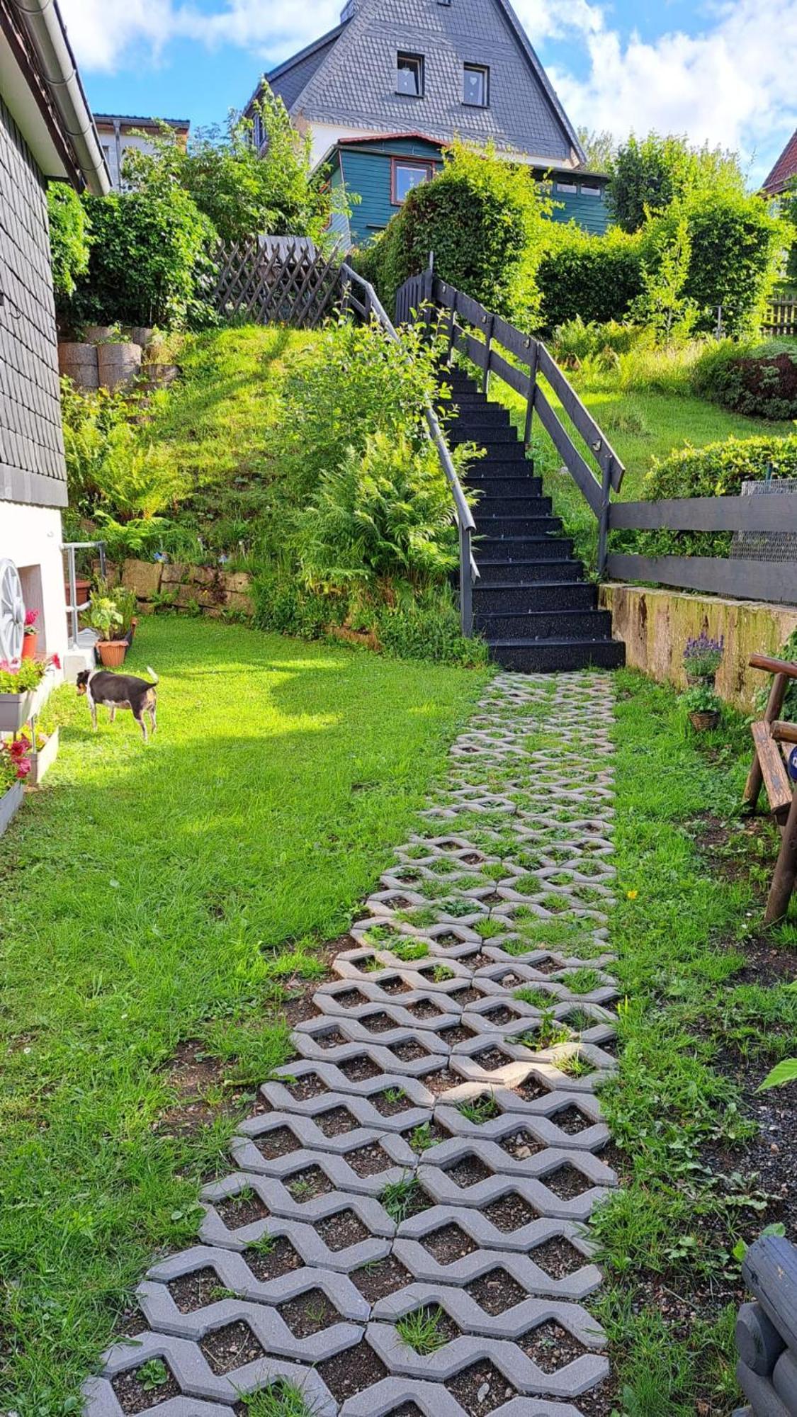 Ferienwohnung Friedrichsruh Braunlage Ngoại thất bức ảnh