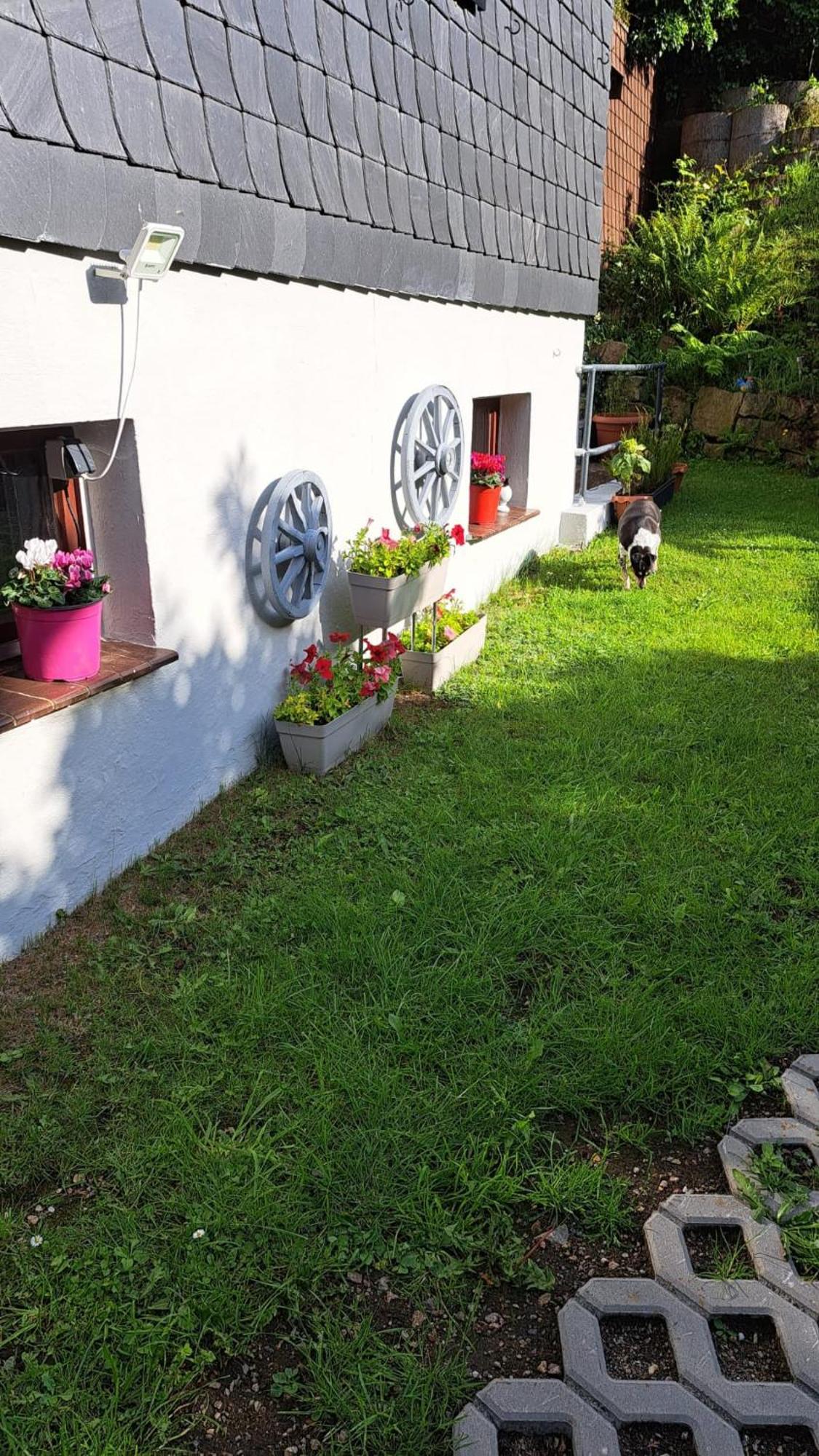 Ferienwohnung Friedrichsruh Braunlage Ngoại thất bức ảnh